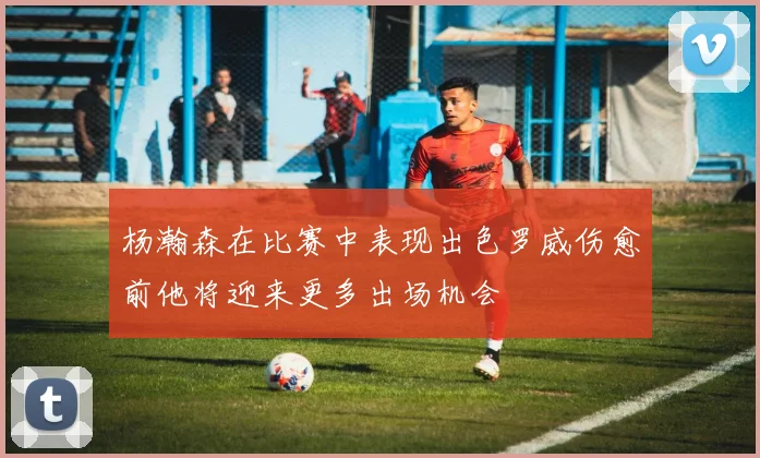 杨瀚森在比赛中表现出色罗威伤愈前他将迎来更多出场机会