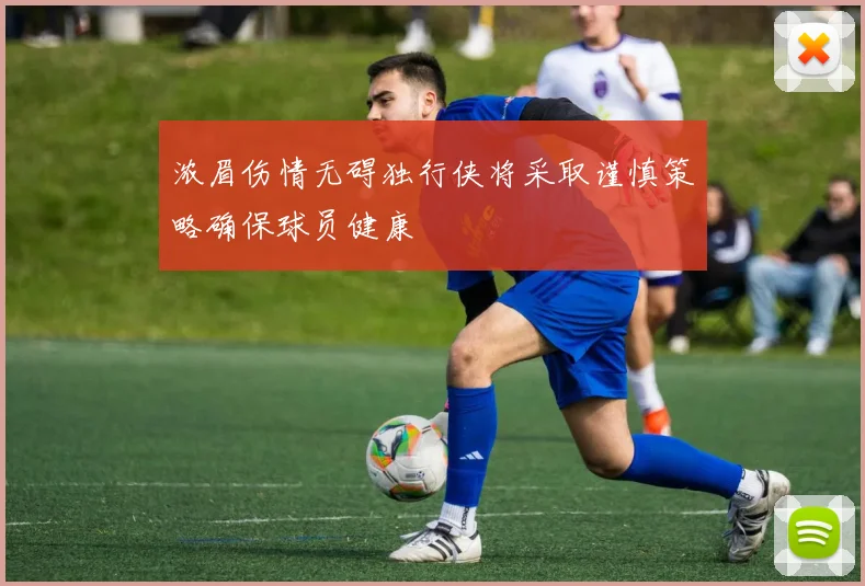 浓眉伤情无碍独行侠将采取谨慎策略确保球员健康