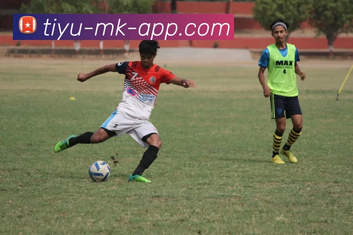 MK体育平台生态图