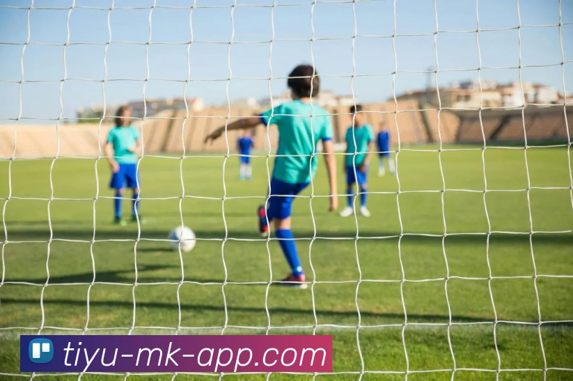 MK体育APP 封面图